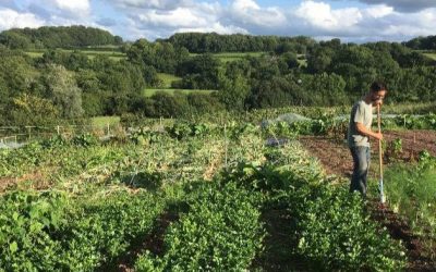 Apply for a small farm lease with the Ecological Land Cooperative