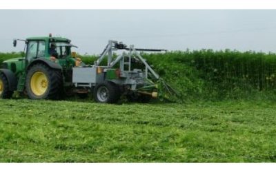 Hemp growing reduces climate damage