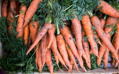 Why I love the Lewes Friday Food Market