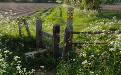 Don’t lose your way