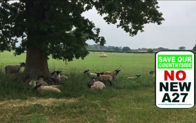 NO NEW A27: The film