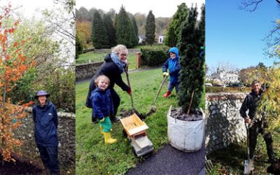 Want to help plant trees? Here are the local community groups to join