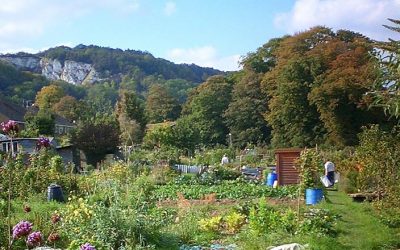 Lewes Town Council agrees nature-friendly allotments policy