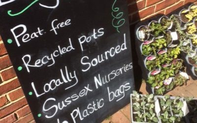 Compost: Time to say goodbye to peat 