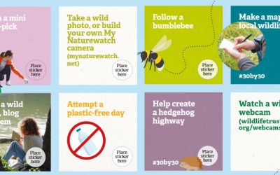 Random acts of wildness