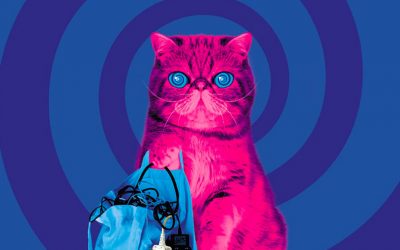 Electricals: stop hoarding – start recycling