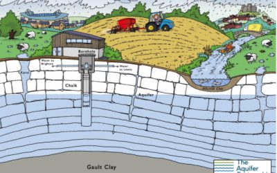 Taking care of our water