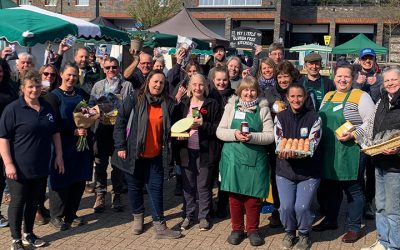 What have Common Cause been up to?