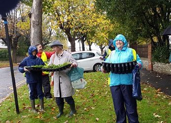 Can you volunteer for Wildflower Lewes?