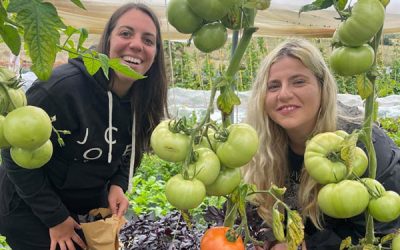 Meet the latest Hub partner group: Lovebrook CIC