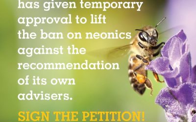 PETITION: Overturn authorisation of banned pesticides on UK sugar crops